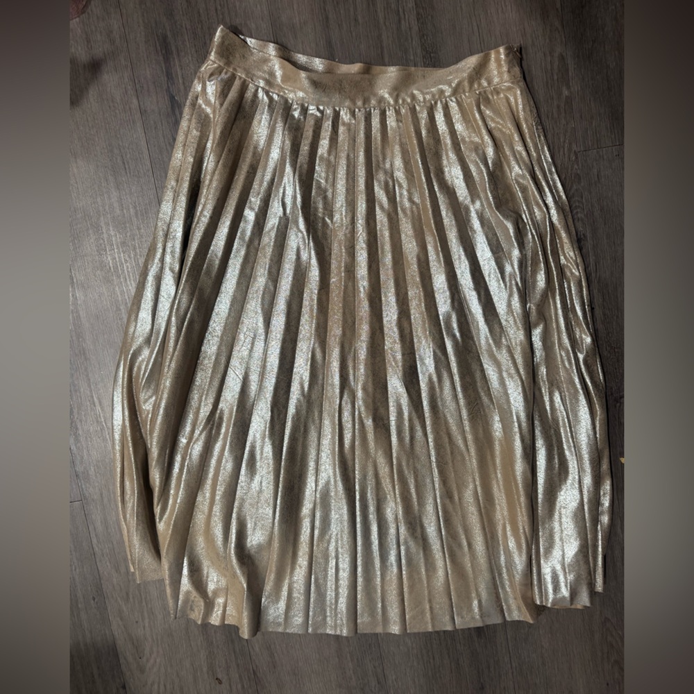 Zara Metallic Pleated Skirt